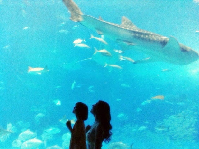 業界最大級の商品数！組合せが自由だから理想の旅がきっと見つかる「ANA楽パック」公式サイト