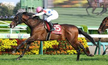 【日経賞】4番人気のマイユニバースが連勝で重賞初制覇 横山典「機嫌が良くて、道中の折り合いも良かった。きょうの感じでこれだけ動ければ十分」