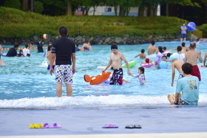 レインボープール／画像提供：国営昭和記念公園管理センター