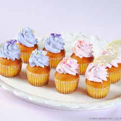 KUROMI Summer Sweets Party Dessert Buffet/提供画像