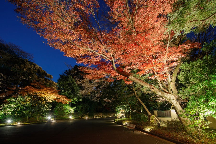 東京都庭園美術館