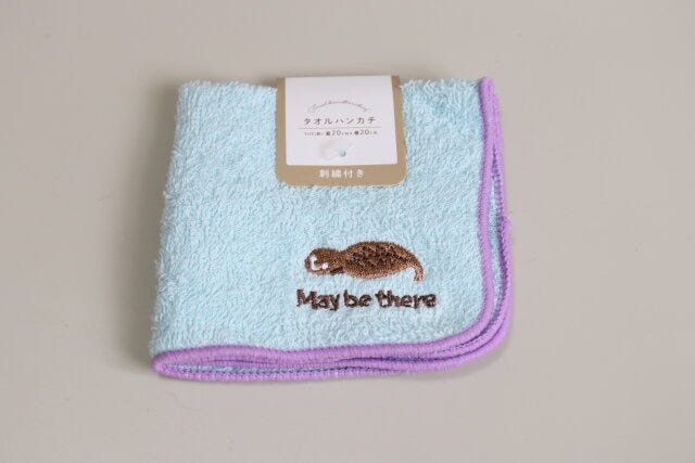 パイルタオルハンカチ刺繍付　パッケージ