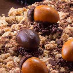 スイーツビュッフェ Fairy Forest/提供画像