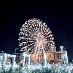 ハウステンボス夜景(C)モデルプレス