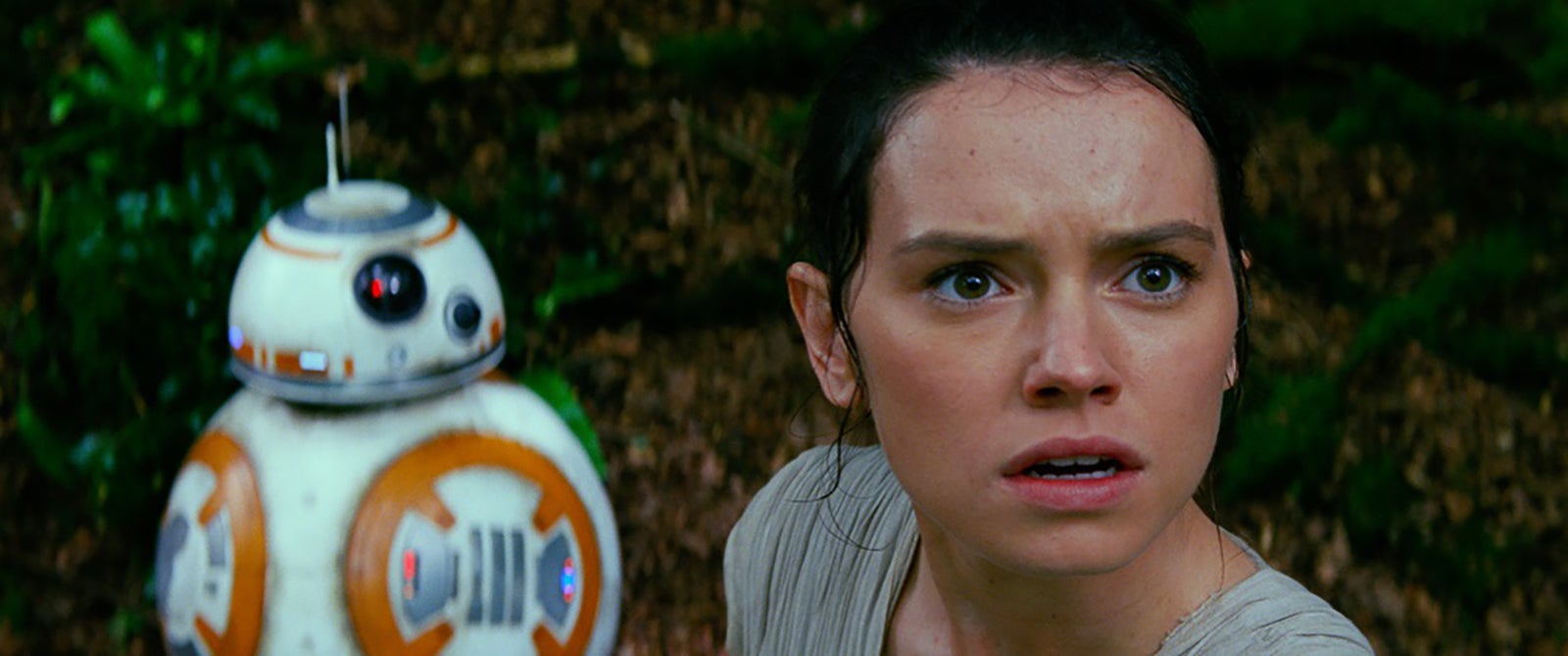 （左から）BB-8、レイ／『スター・ウォーズ／フォースの覚醒』より（C）2016 & TM Lucasfilm Ltd. All Rights Reserved.