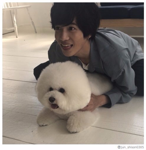 志尊淳、もふもふわんこと出会う ファン混乱「どっちがわんこかな？」