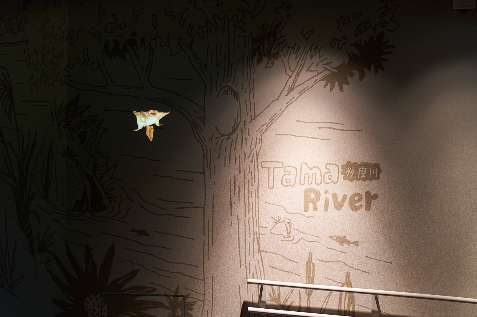 カワスイ 川崎水族館／画像提供：アクア・ライブ・インベストメント