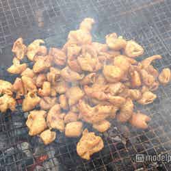 シロコロホルモンの聖地で「肉ホルモンフェス」初開催/画像提供:Food Nations 実行委員会【モデルプレス】