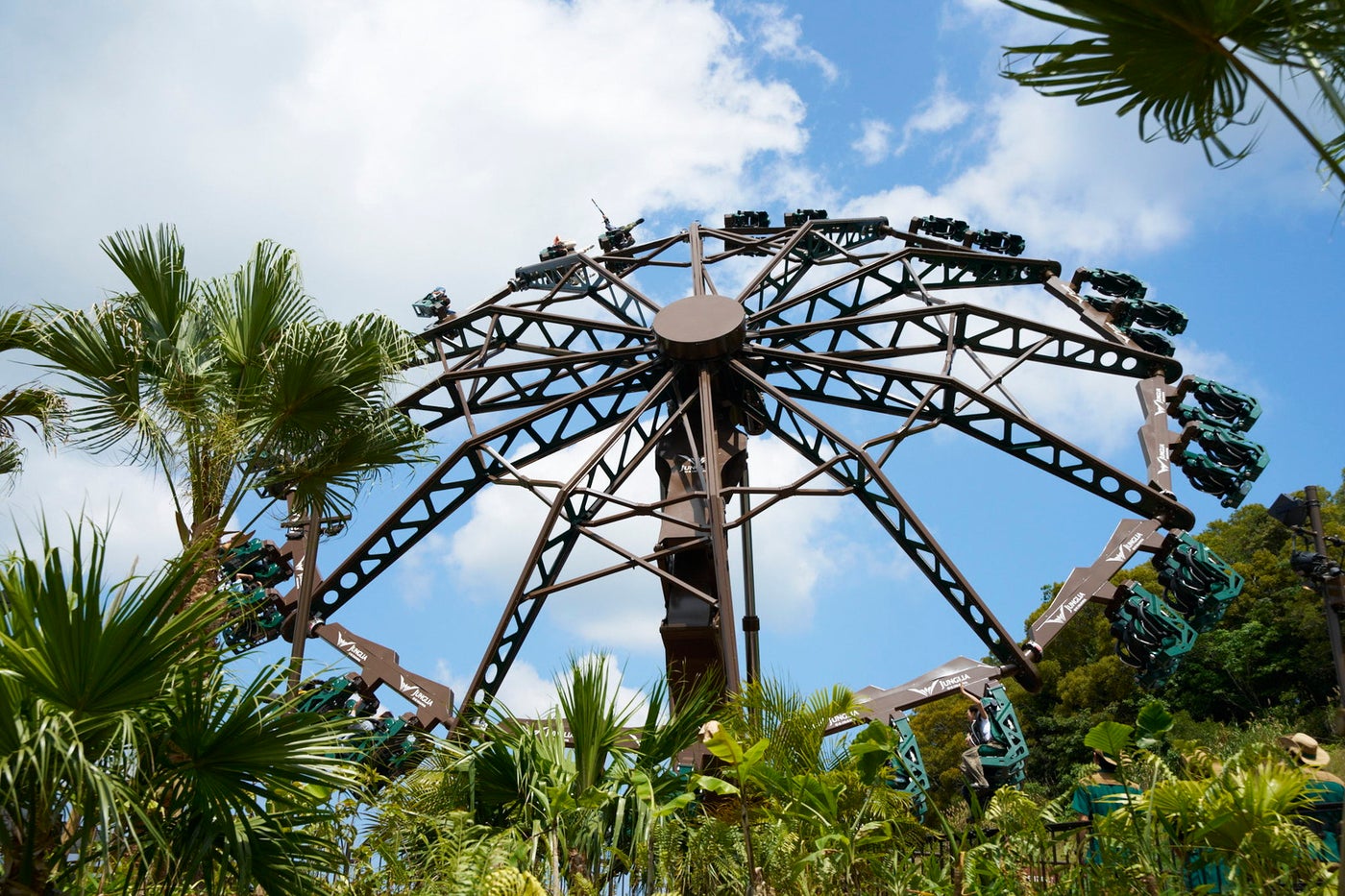 やんばるトルネード／提供画像