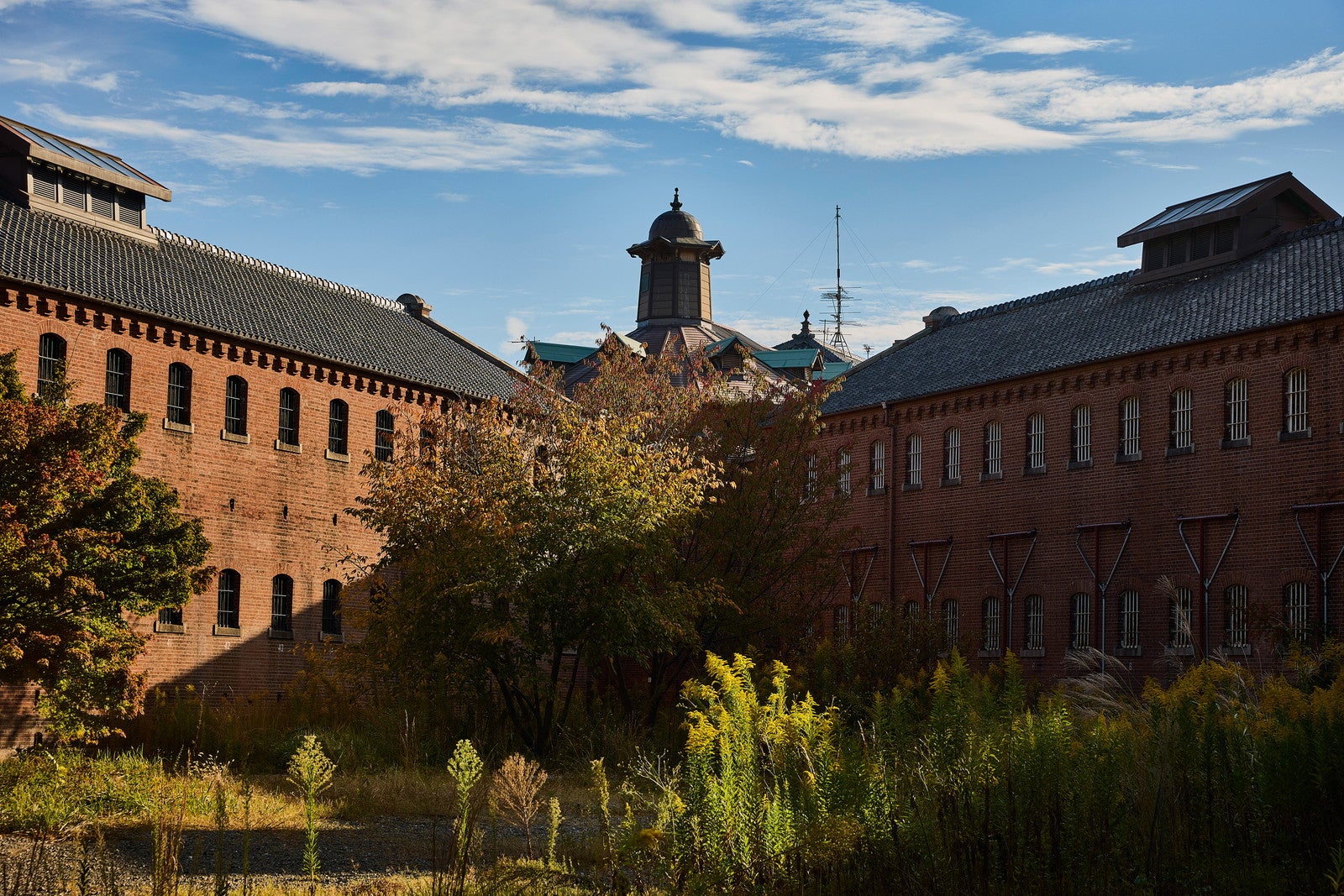 外観／提供画像