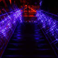 美しい青で彩られる/画像提供:東京タワー