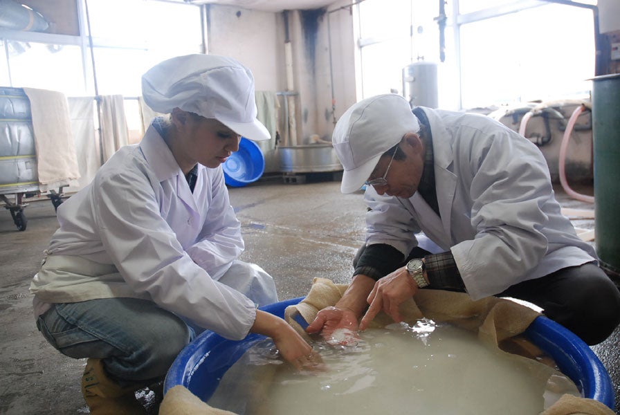 日本酒造りに奮闘する今泉宏美