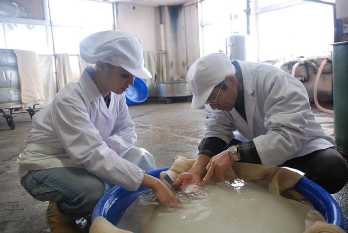 日本酒造りに奮闘する今泉宏美
