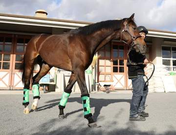 ジョバンニ、ジューンテイクはクイーンエリザベス2世Cの招待を受諾