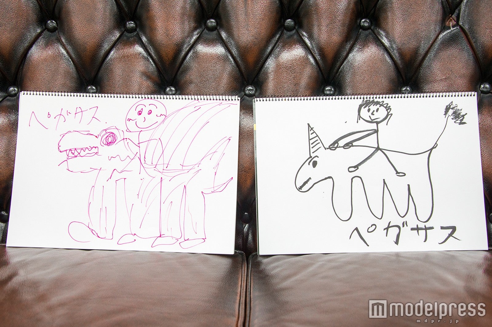 テーマ「ペガサス」／（左から）ゆうたん、だいきん（C）モデルプレス