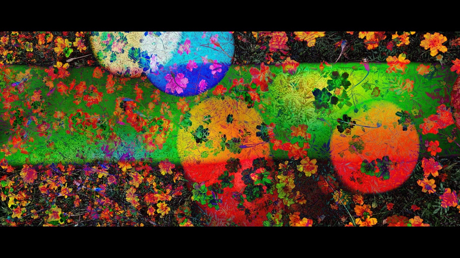 【THE XXXXXX】（ザ・シックス）映像より