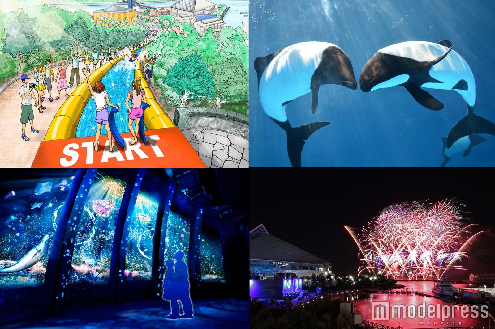 SUMMER DAY TRIP／画像提供：横浜八景島