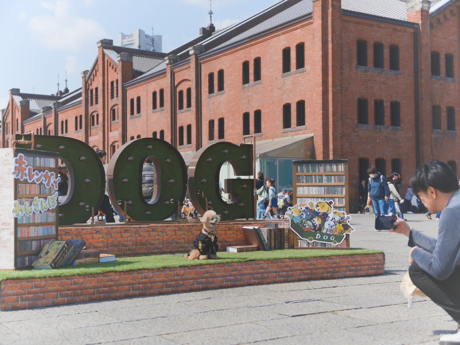 赤レンガでわんさんぽ／提供画像