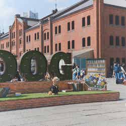 赤レンガでわんさんぽ/提供画像