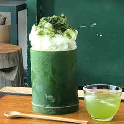 氷・煎茶700円/提供画像