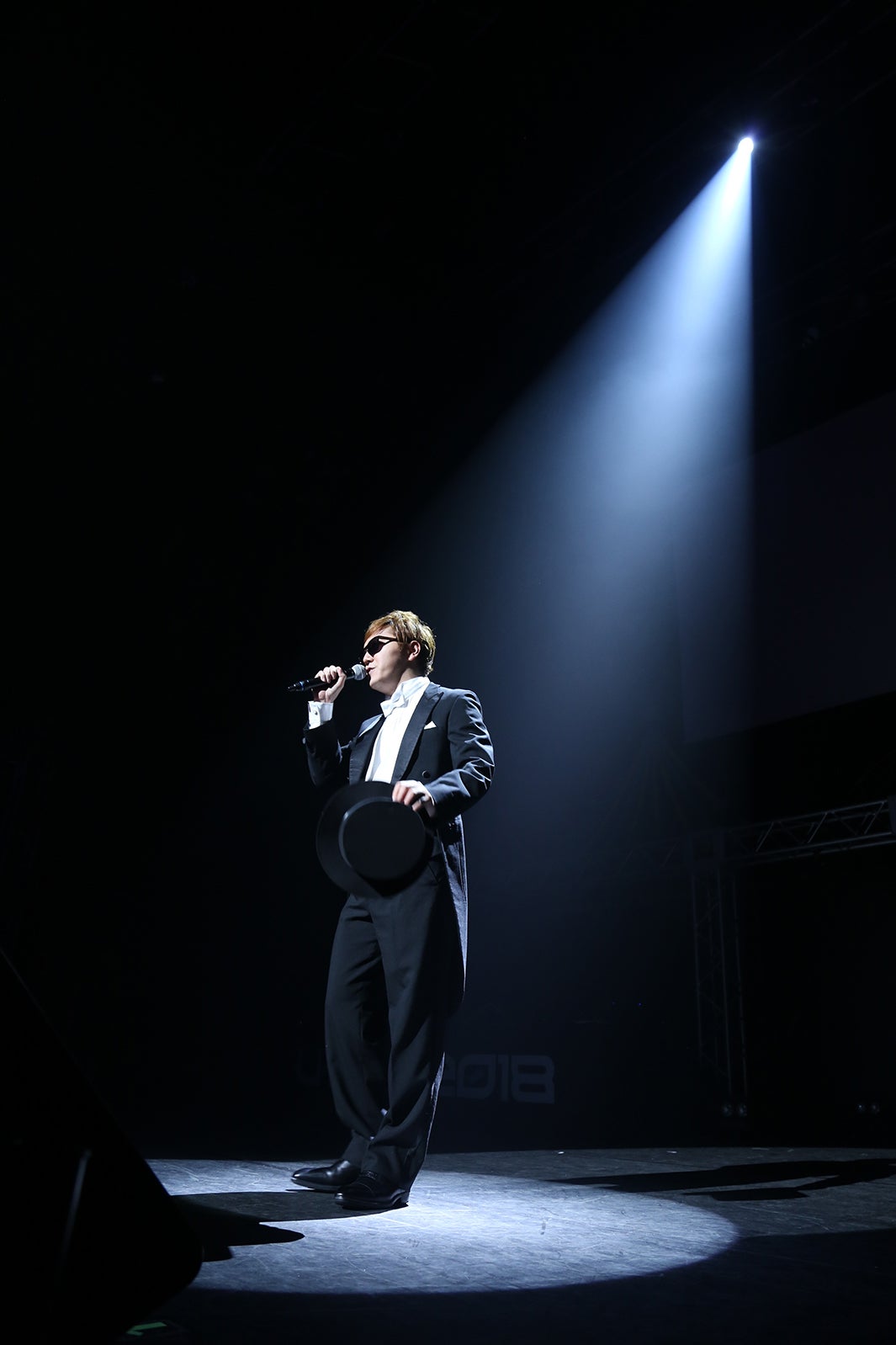 プレミアムステージ オープニング（HIKAKIN） （提供写真）