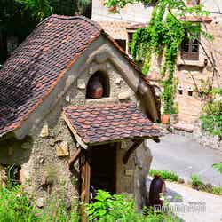 ぬくもりの森(C)モデルプレス