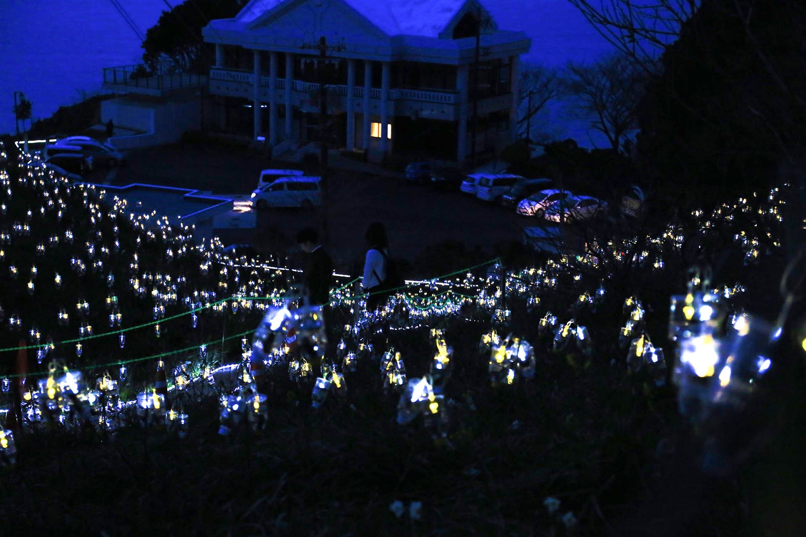 画像提供：越前町観光連盟