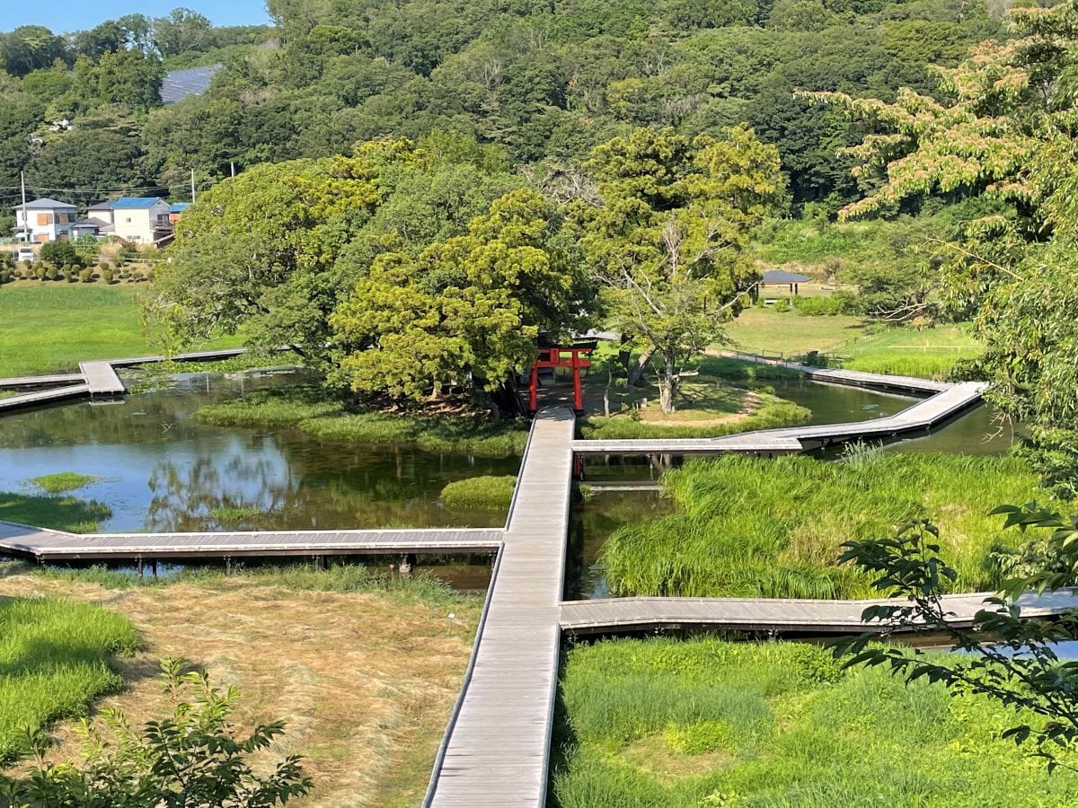 豊かな自然が残る厳島湿生公園