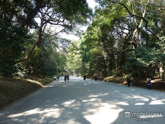 代々木公園／Photo by kalleboo