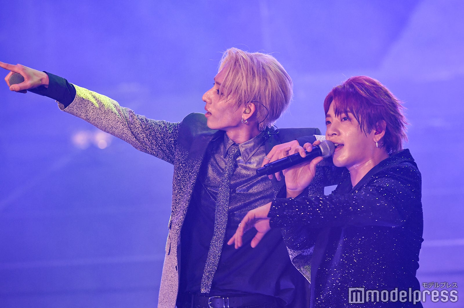 OWV（C）モデルプレス