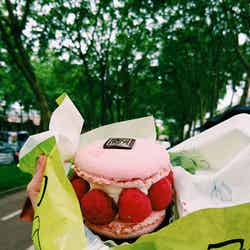 Levain et Tradition/画像提供:所属事務所