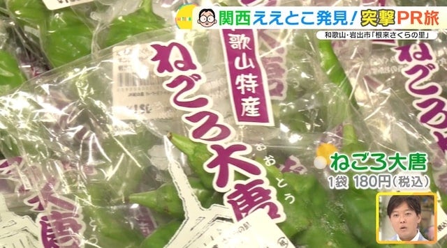 県外から人が殺到する直売所や大人気のご当地グルメを発見！和歌山で唯一人口が増えている市とは？