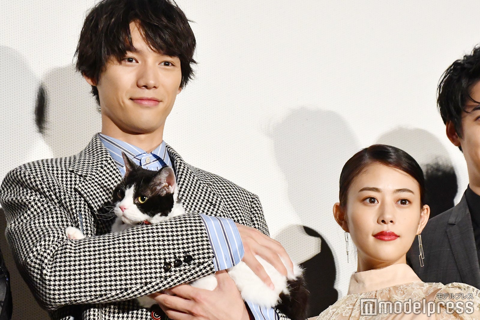 福士蒼汰と主演猫のナナと高畑充希 （C）モデルプレス