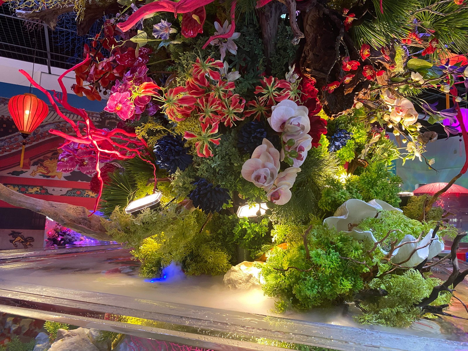 沖縄金魚ミュージアム〜龍と金魚のものがたり／提供画像