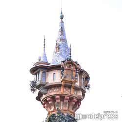 『塔の上のラプンツェル』の世界観を再現した休憩エリア（C）モデルプレス（C）Disney