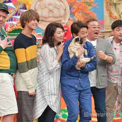 （左から）くっきー、高橋海人、片平なぎさ、坂上忍、伊達みきお、富澤たけし、堀田真由 （C）モデルプレス