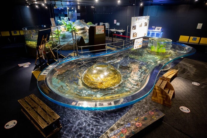 ドクターフィッシュなどとのふれあいが楽しめる「体験ゾーン」