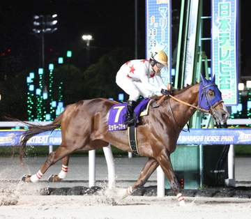 【地方競馬】日本テレビ盃 ミッキーファイトが貫禄の違いを見せつけて重賞7勝目 次はチャンピオンズカップでJRAのG1獲りへ