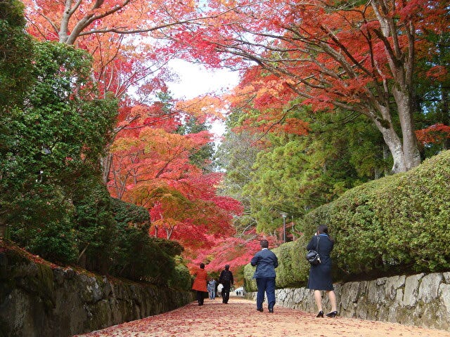 地元の人が教える“穴場”も♡