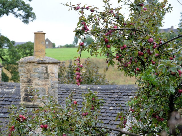 column_56502c7049de5818c407566951336e99.