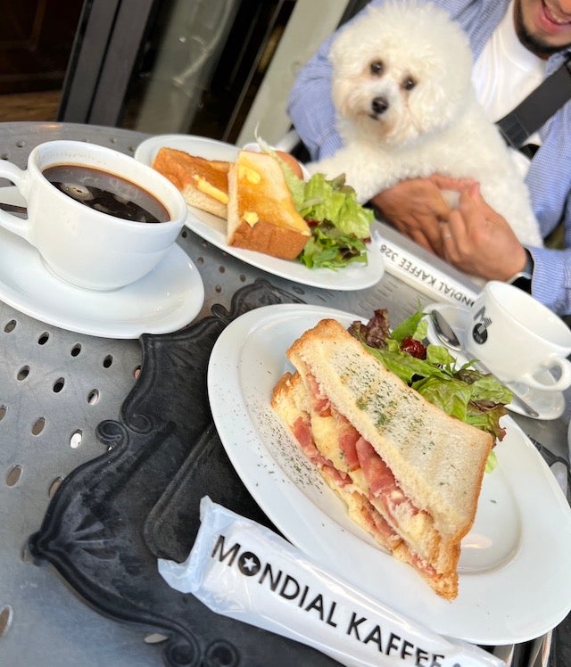 わんちゃんも大喜び♡ 大阪・滋賀でみつけた「愛犬同伴OKのおしゃれなお店」3選