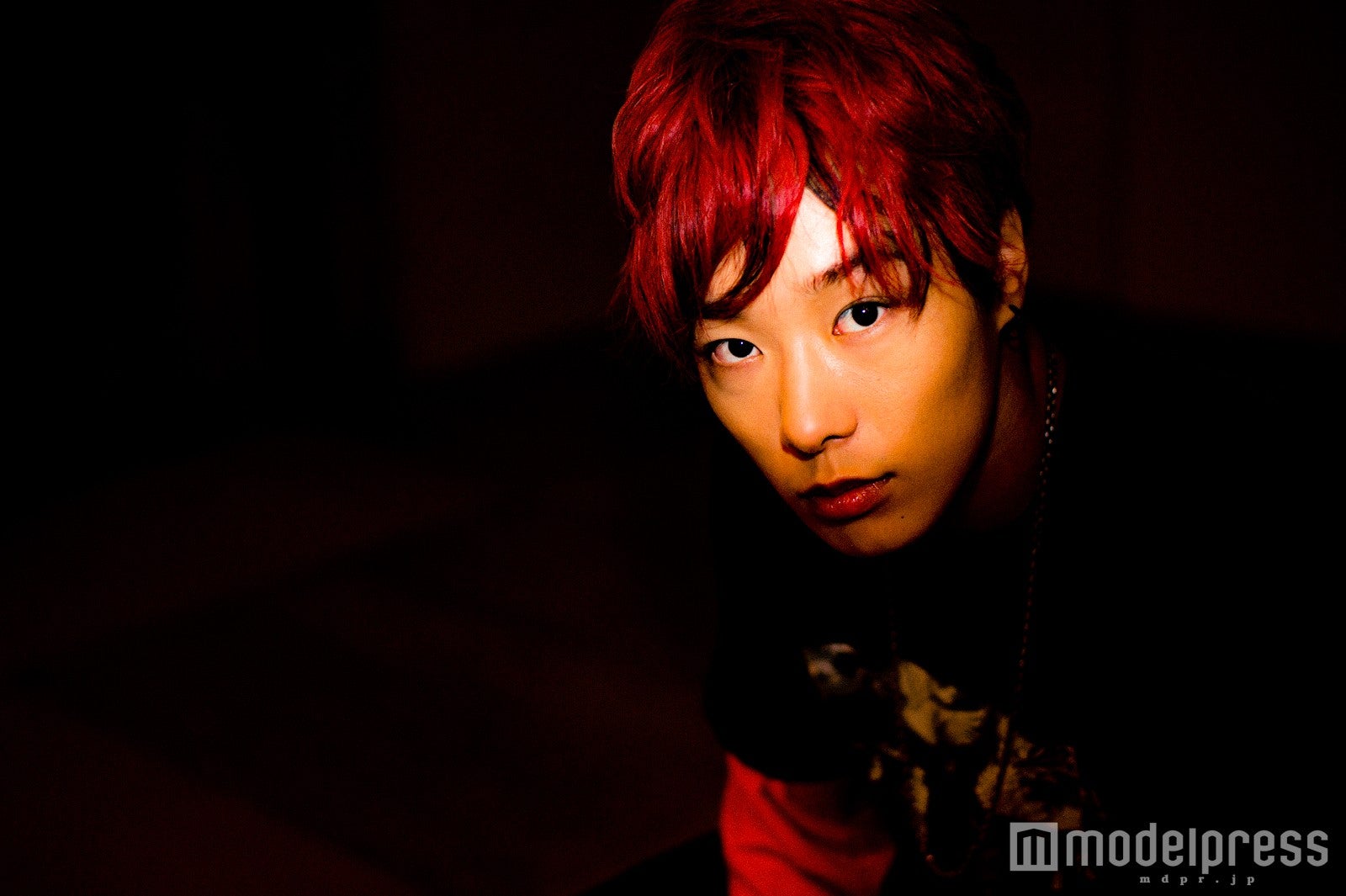 ZEN（C）モデルプレス