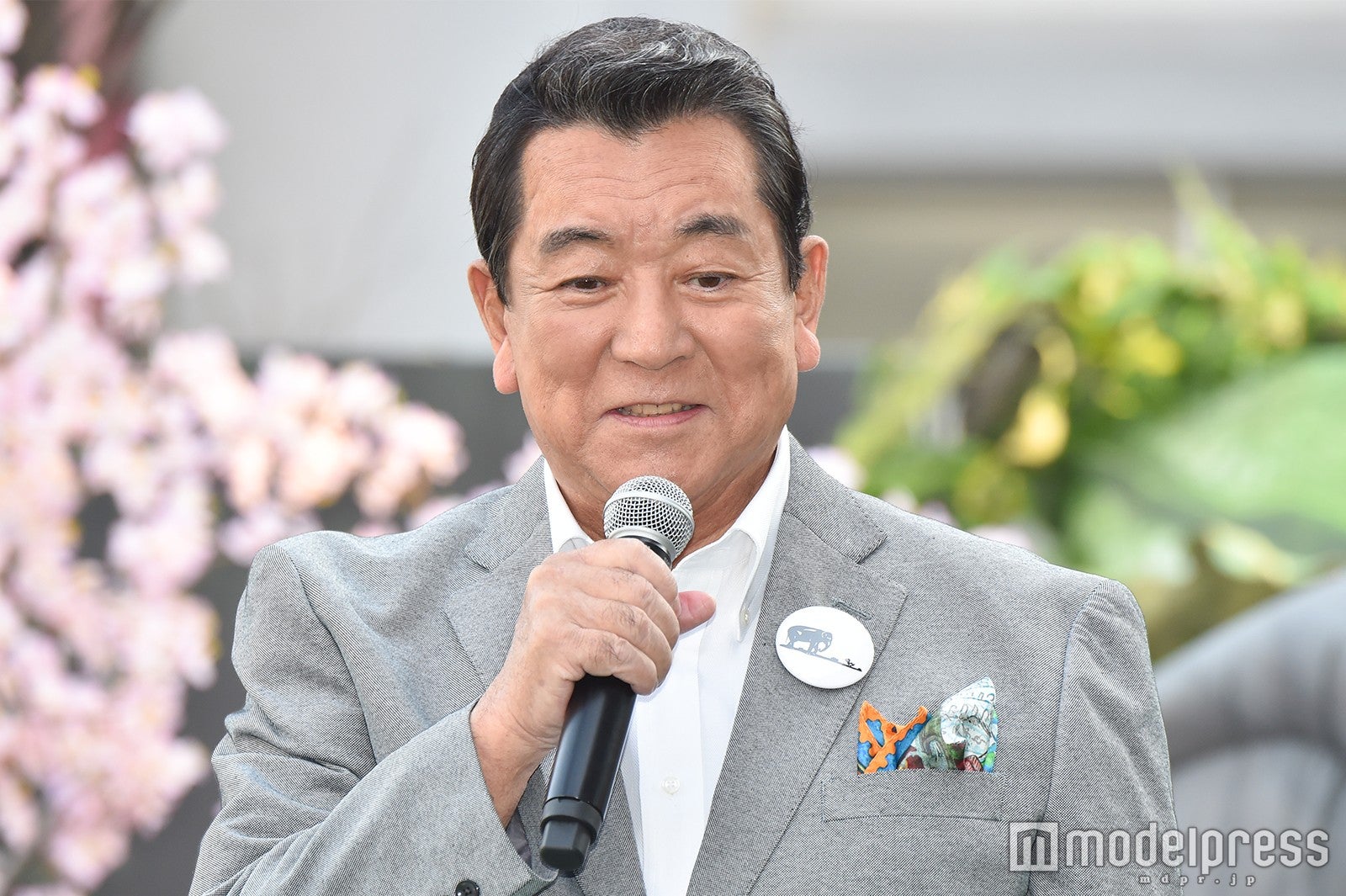 加山雄三（C）モデルプレス