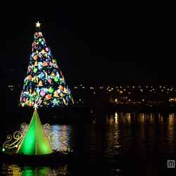 カラー・オブ・クリスマス－アフターグロウ／幻想的に輝くツリー