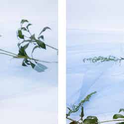 ダイジンフロート、サダイジンフロート各税込1,100円(C)2022「すずめの戸締まり」製作委員会