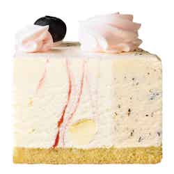 ストロベリーチーズケーキ×チョコレートチップ／画像提供：サーティワン アイスクリーム株式会社