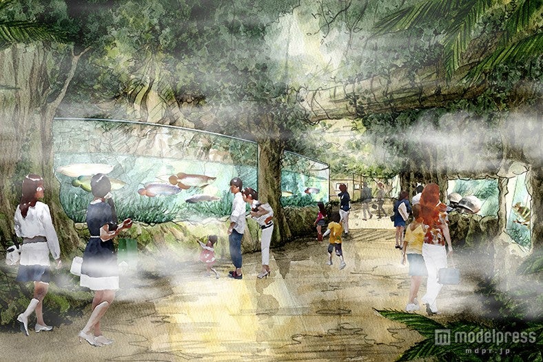 アクアジャングル