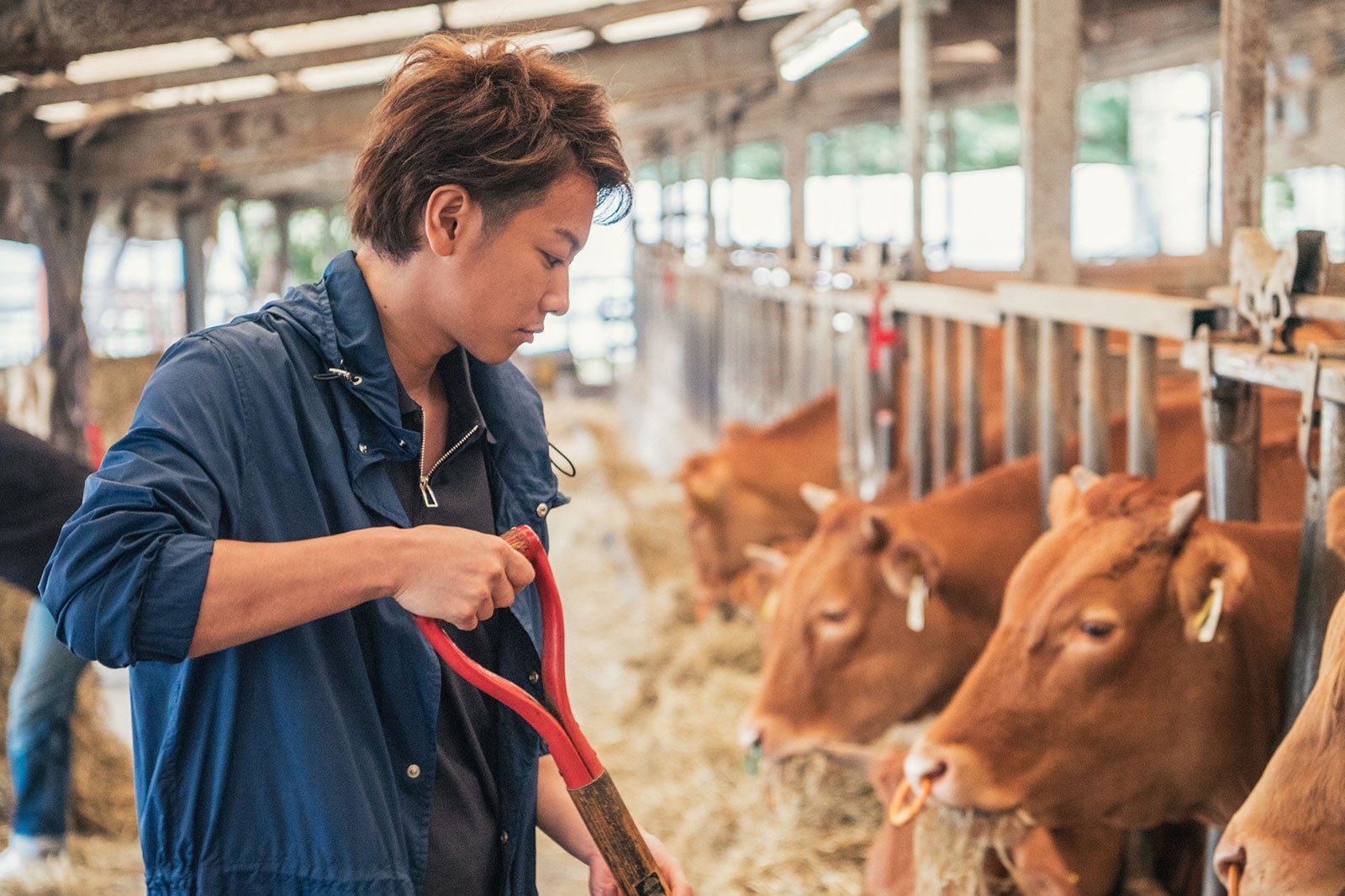 佐藤健「るろうにほん　熊本へ」より（画像提供：所属事務所）