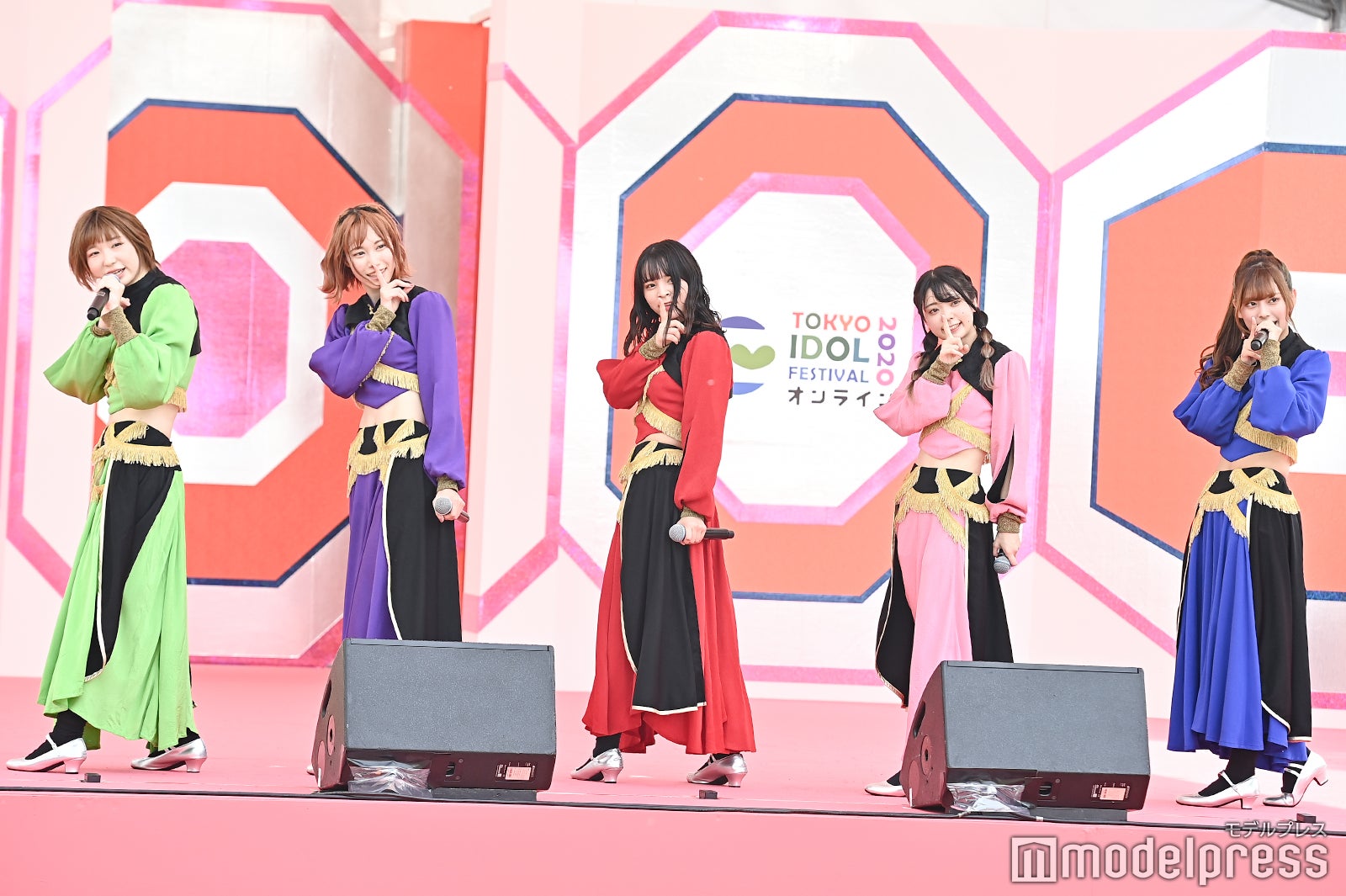 豆柴の大群（C）モデルプレス