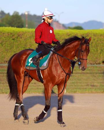【新馬戦】ダイナマイク来春の大舞台へ好発進だ 24年セレクトセールで2億4000万円、福永助手「血統馬らしく背中がいい」